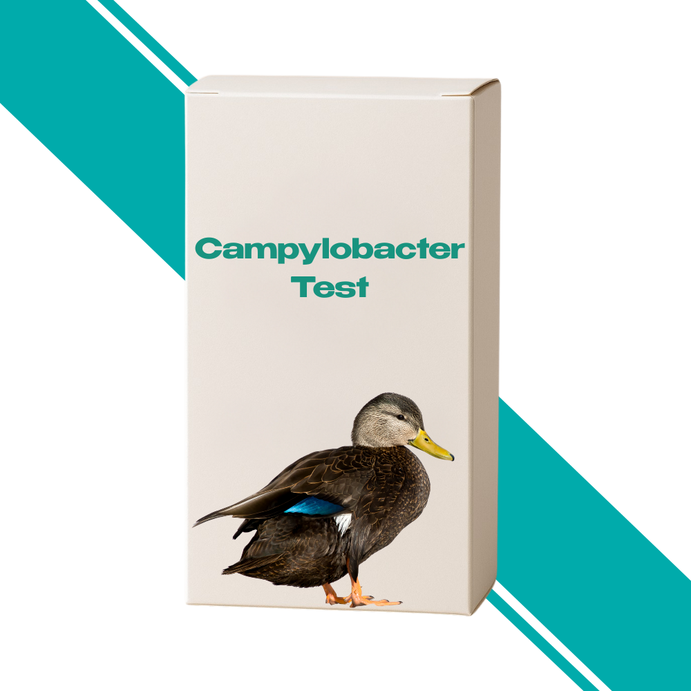 Campylobacter Test